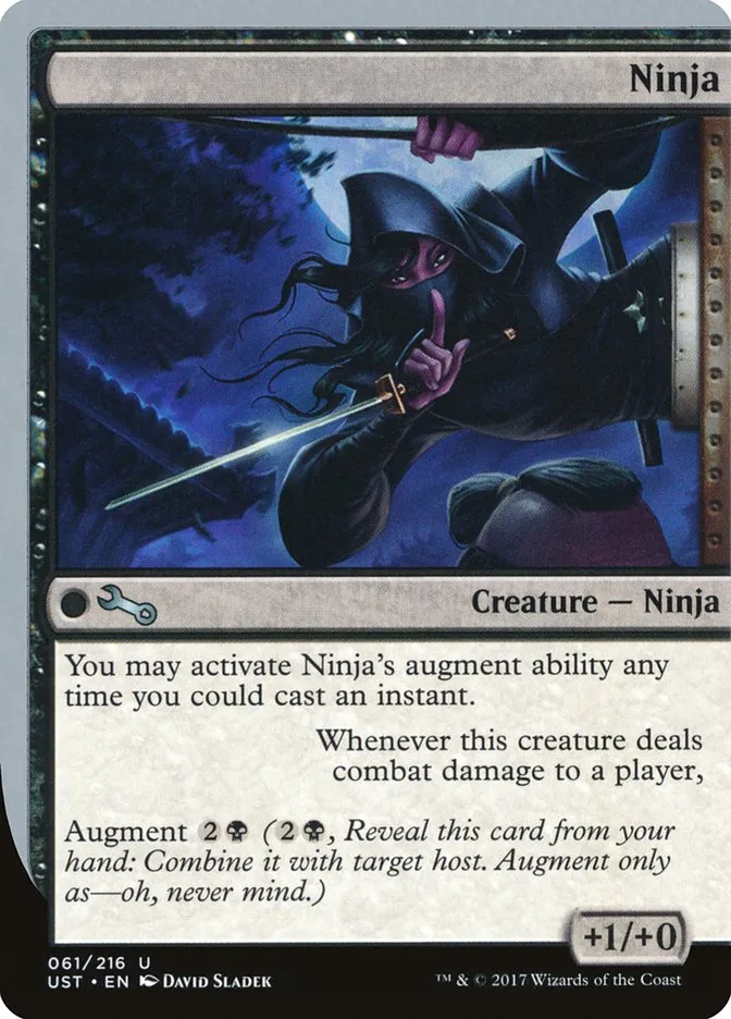 Ninja Front Face